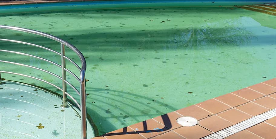 Algicidas – Saiba o que é e como atuam na manutenção da água