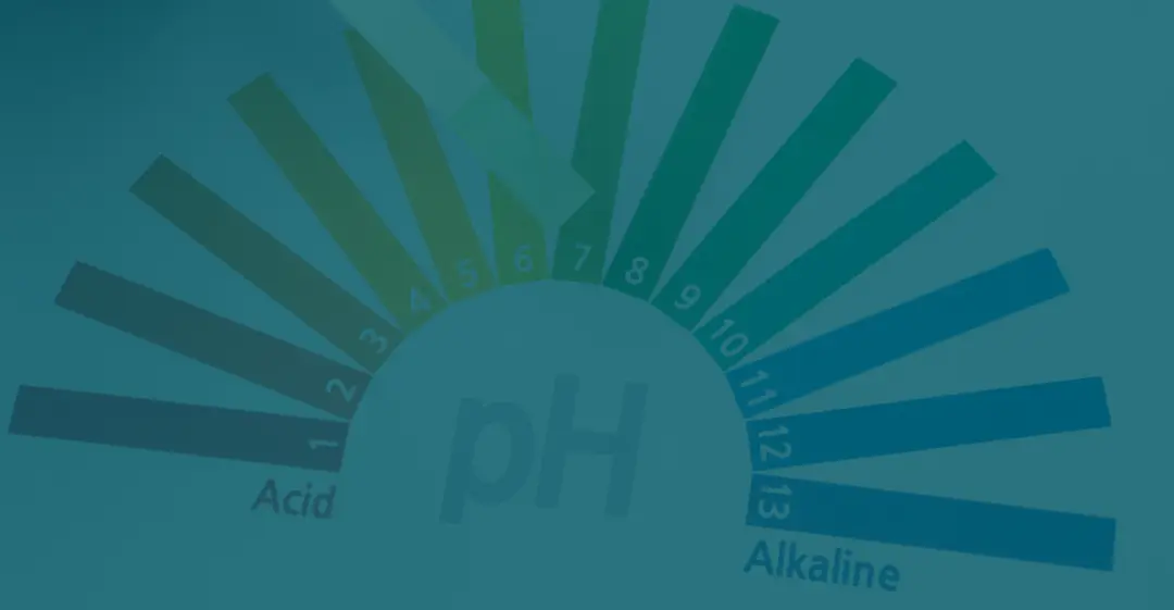 Otimização de Shelf-Life com Conservantes Combinados: Sinergia Benzoato + Sorbato