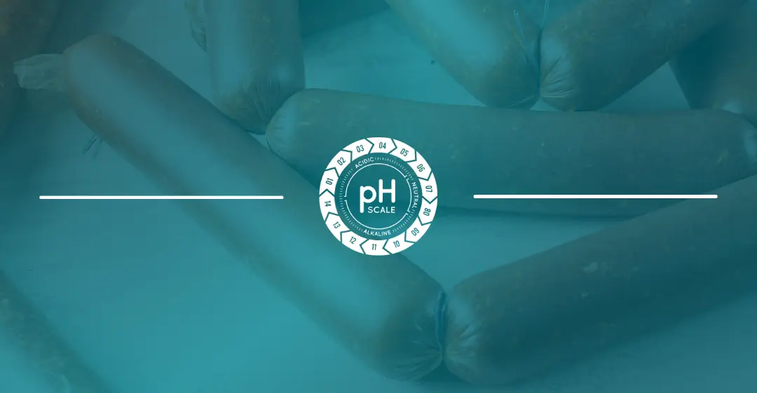 pH Regulators in Meat and Dairy Processing: Optimizing Quality and Texture