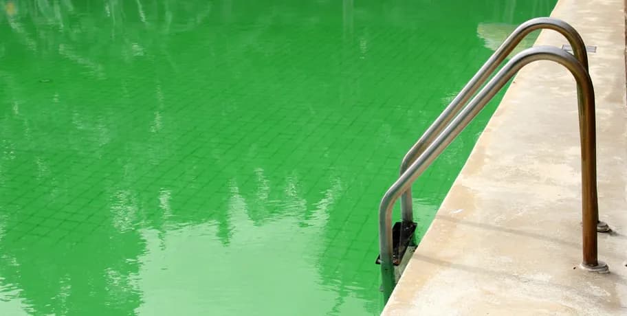 Algaecide: How to Apply It When Treating Swimming Pool Water
